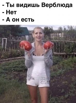 Прикрепленное изображение: 365055495_682930907210832_5622128446026437307_n.jpg